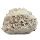 Aquamarine (Beryl) with Muscovite on Feldspar - Specimen