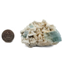 Aquamarine (Beryl) with Muscovite on Feldspar - Specimen