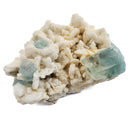 Aquamarine (Beryl) with Muscovite on Feldspar - Specimen