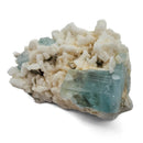 Aquamarine (Beryl) with Muscovite on Feldspar - Specimen