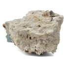 Aquamarine (Beryl) with Muscovite on Feldspar - Specimen