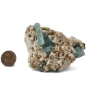 Aquamarine (Beryl) with Muscovite on Feldspar - Specimen