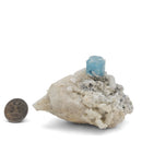 Aquamarine (Beryl) on Feldspar (Microcline) - Specimen