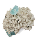 Aquamarine (Beryl) with Feldspar and Muscovite - Specimen