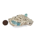 Aquamarine (Beryl) with Feldspar and Muscovite - Specimen