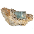 Aquamarine (Beryl) with Feldspar and Muscovite - Specimen