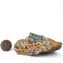 Aquamarine (Beryl) with Feldspar and Muscovite - Specimen