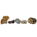 Assorted - Tumble Stones  - Globally sourced - Colorful Variety - Bulk
