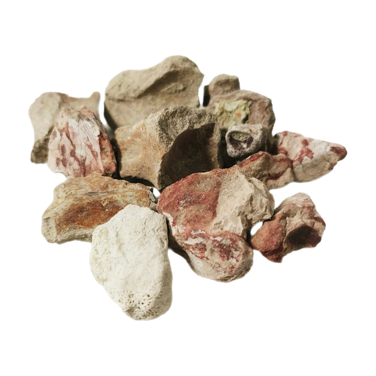 Badlands Mammal Bone fossil.