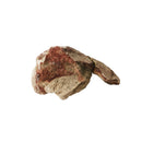 Badlands Mammal Bone - Fossil