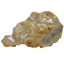 Bailey Chert - Rough - Illinois and Missouri, USA