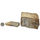 Bailey Chert - Rough - Illinois and Missouri, USA