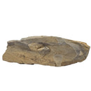 Bailey Chert - Rough - Illinois and Missouri, USA