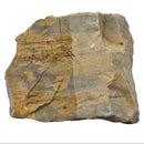 Bailey Chert - Rough - Illinois and Missouri, USA