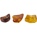 Baltic Amber - Chips - Tumble