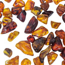Baltic Amber - Tumble - Era: Eocene - Lithuania - UV reactive