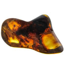 Baltic Amber - Tumble - Era: Eocene - Lithuania - UV reactive