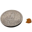 Baltic Amber - Chips - Tumble
