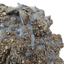 Barite & Pyrite - Specimen
