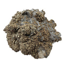 Barite & Pyrite - Specimen