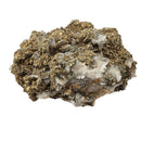 Barite & Pyrite - Specimen