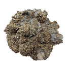 Barite & Pyrite - Specimen
