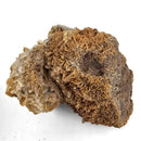 Barite - Specimen