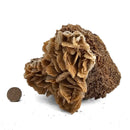 Barite - Specimen