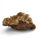 Barite - Specimen