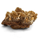 Barite - Specimen