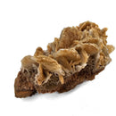 Barite - Specimen