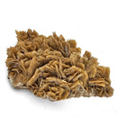 Barite - Specimen