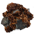 Barite on Galena - Specimen