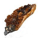 Barite on Galena - Specimen