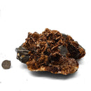 Barite on Galena - Specimen