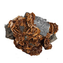 Barite on Galena - Specimen
