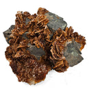 Barite on Galena - Specimen