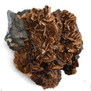 Barite on Galena - Specimen