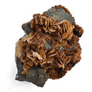 Barite on Galena - Specimen