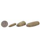 Belemnite - Fossil - Madagascar - Mesozoic