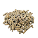 Belemnite - Fossil - Madagascar - Mesozoic