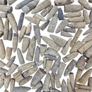 Belemnite - Fossil - Madagascar - Mesozoic