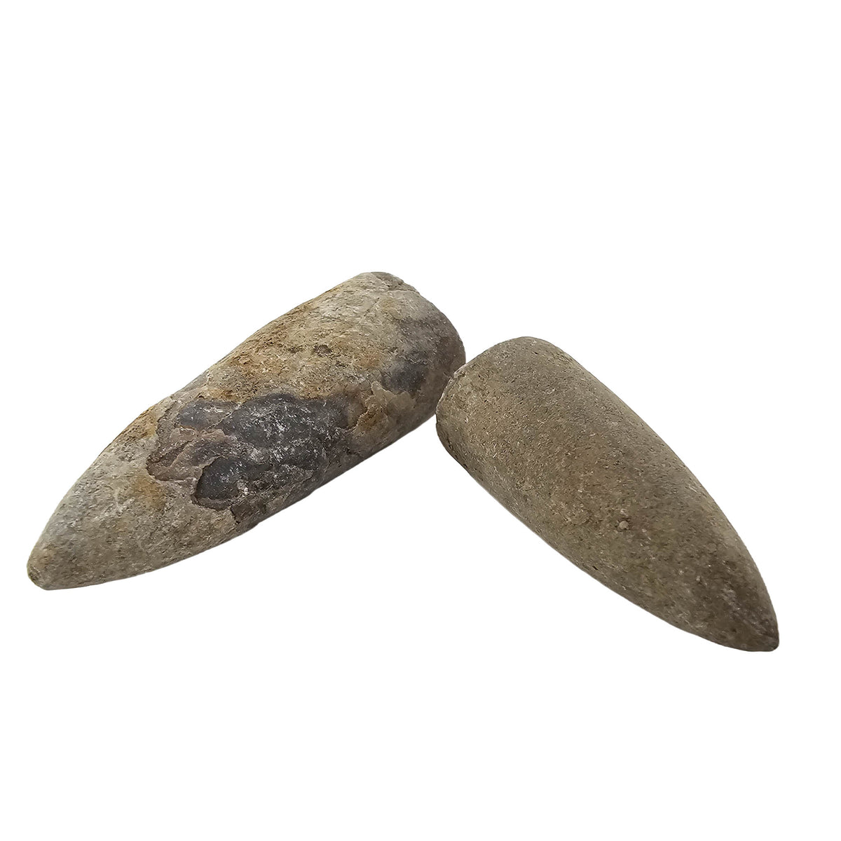Belemnite - Fossil - Madagascar - Mesozoic