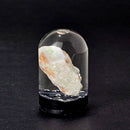 Glass Bell Jar - Display