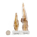 Bi-colour Selenite - Mineral