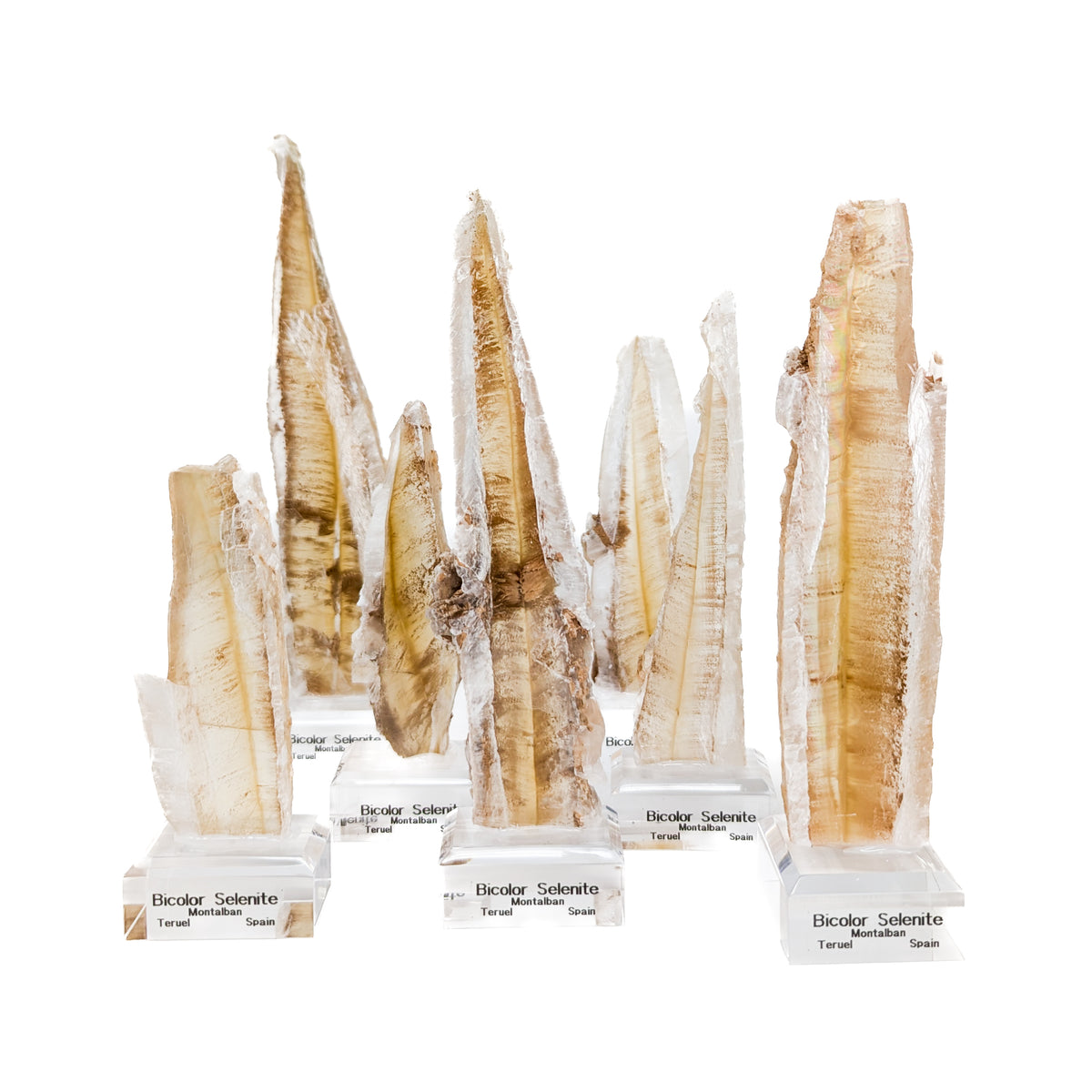 Bi-colour Selenite specimen, a variety of gypsum, from Montalbán, Spain.