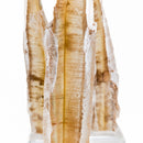 Bi-colour Selenite - Mineral