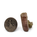Bicolour Tourmaline - Specimen