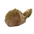 Bicolour Tourmaline - Specimen