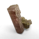 Bicolour Tourmaline - Specimen